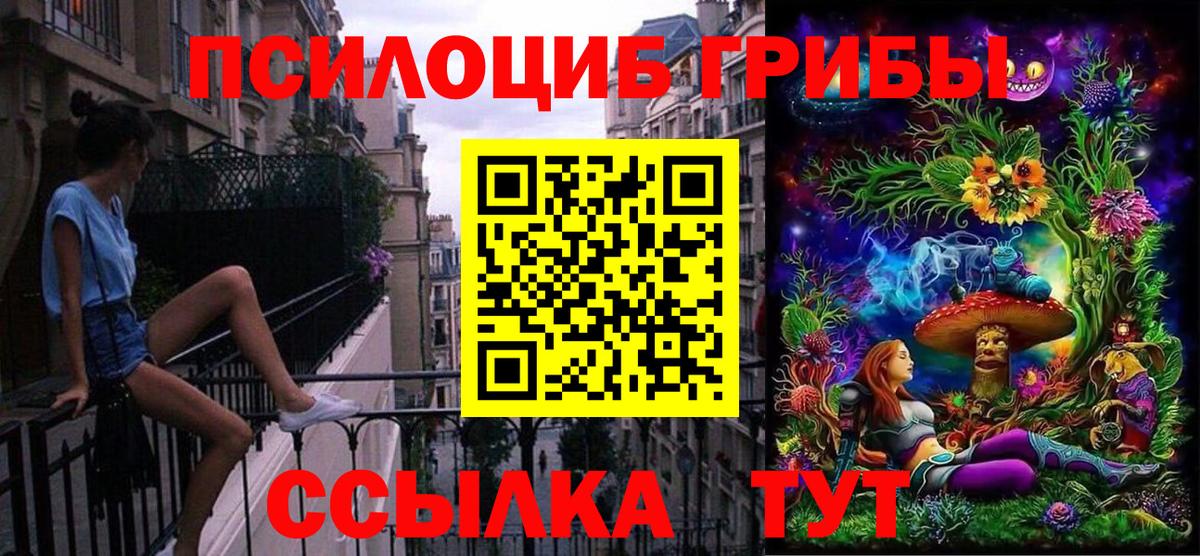 сколько стоит  Псилоцибиновые грибы ЛСД  Псилоцибиновые грибы MAGIC MUSHROOMS  Вход с VPN  Кумертау 